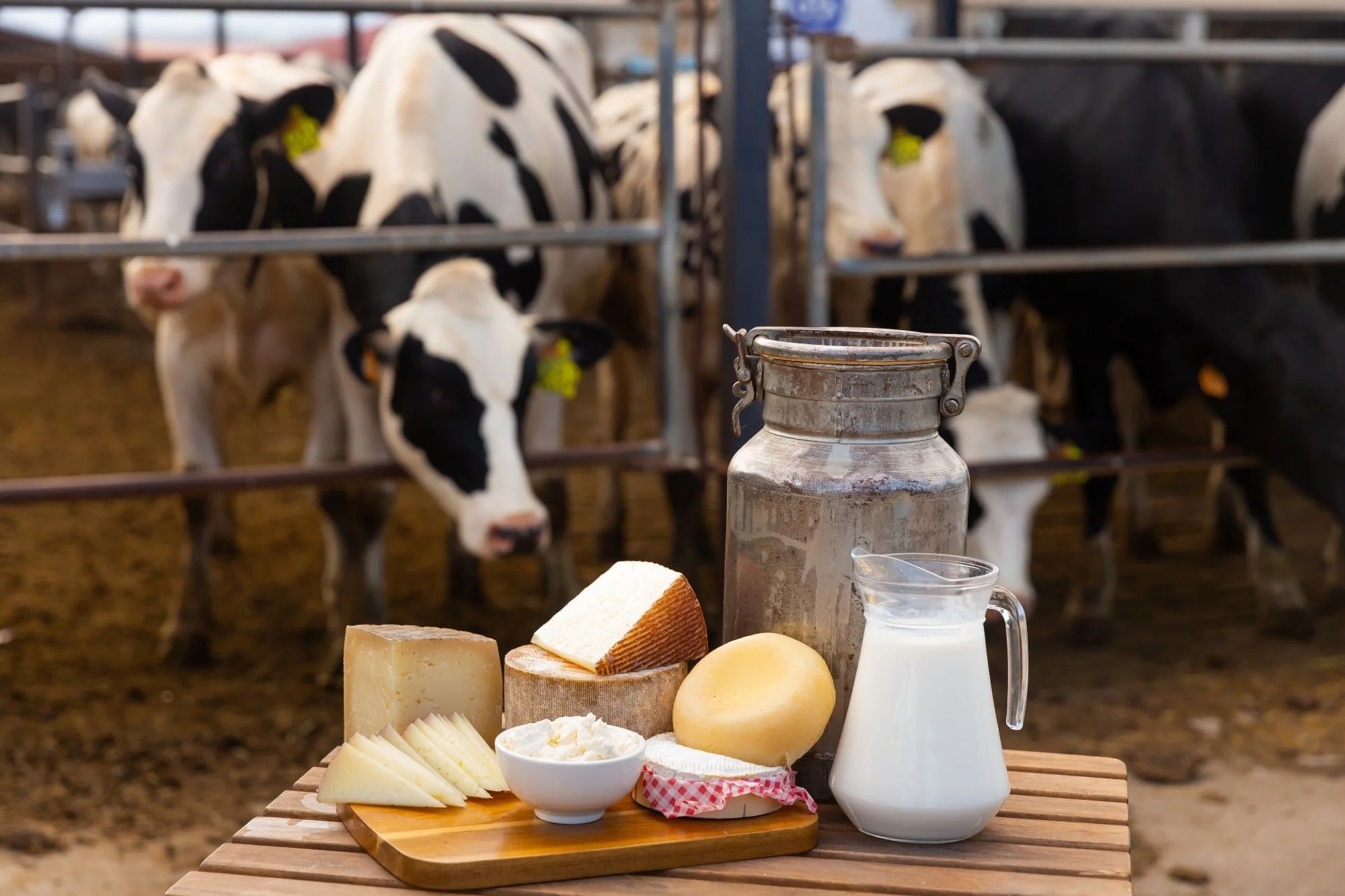 25 Fakta Tentang Susu