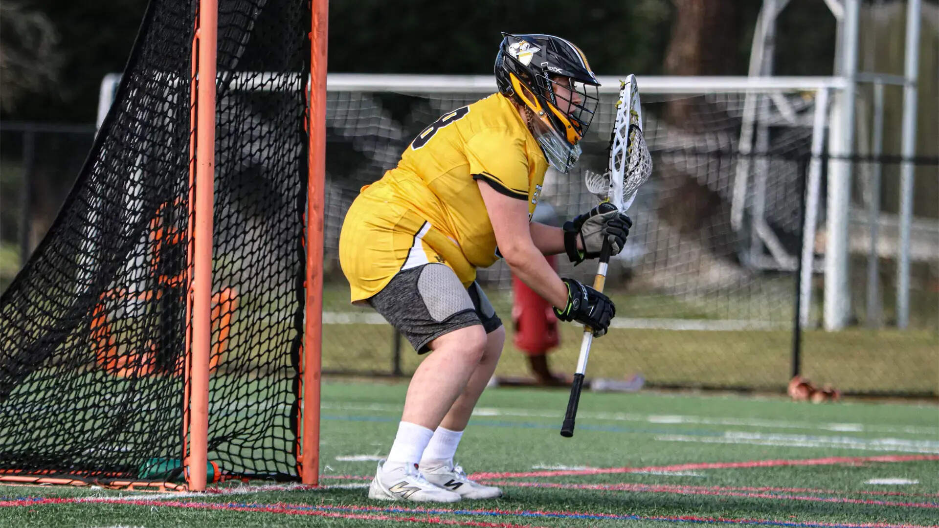 28 Fakta Tentang Lacrosse