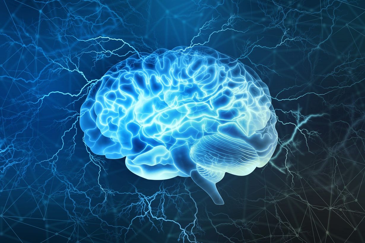 29 Fakta Tentang Neurosains