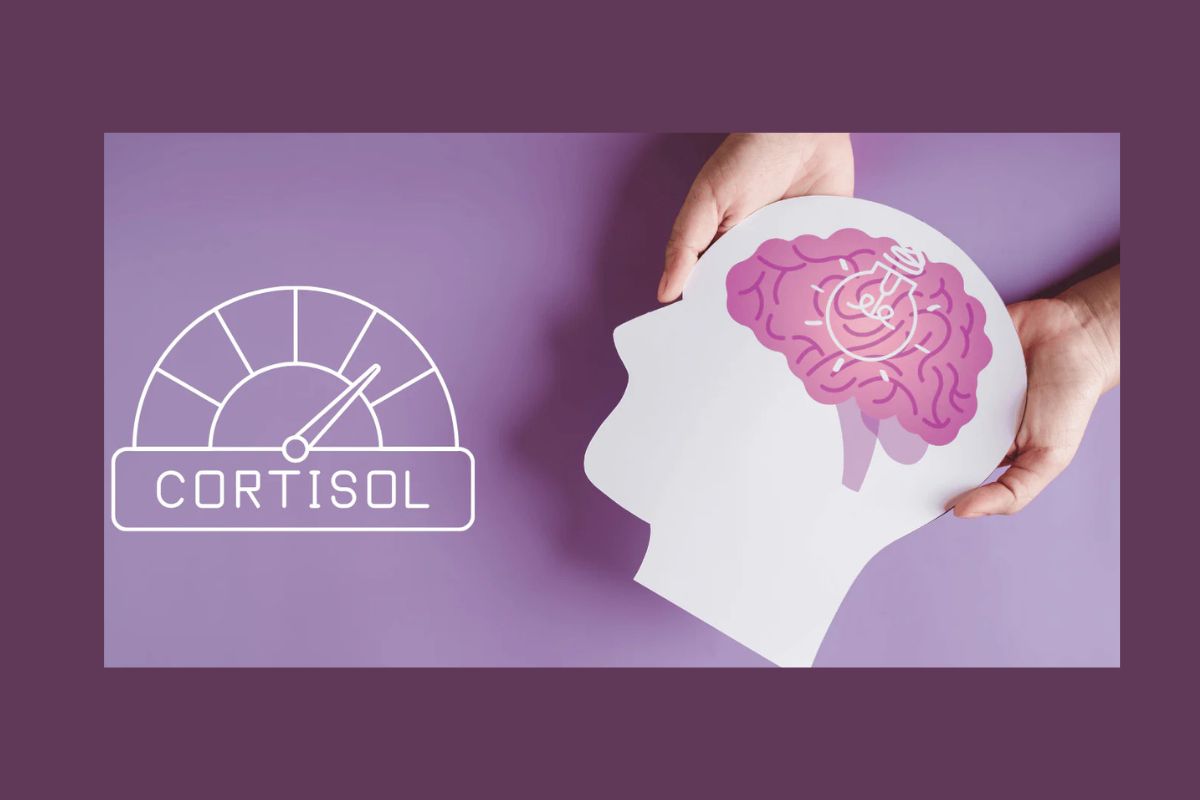 35 Fakta Tentang Kortisol