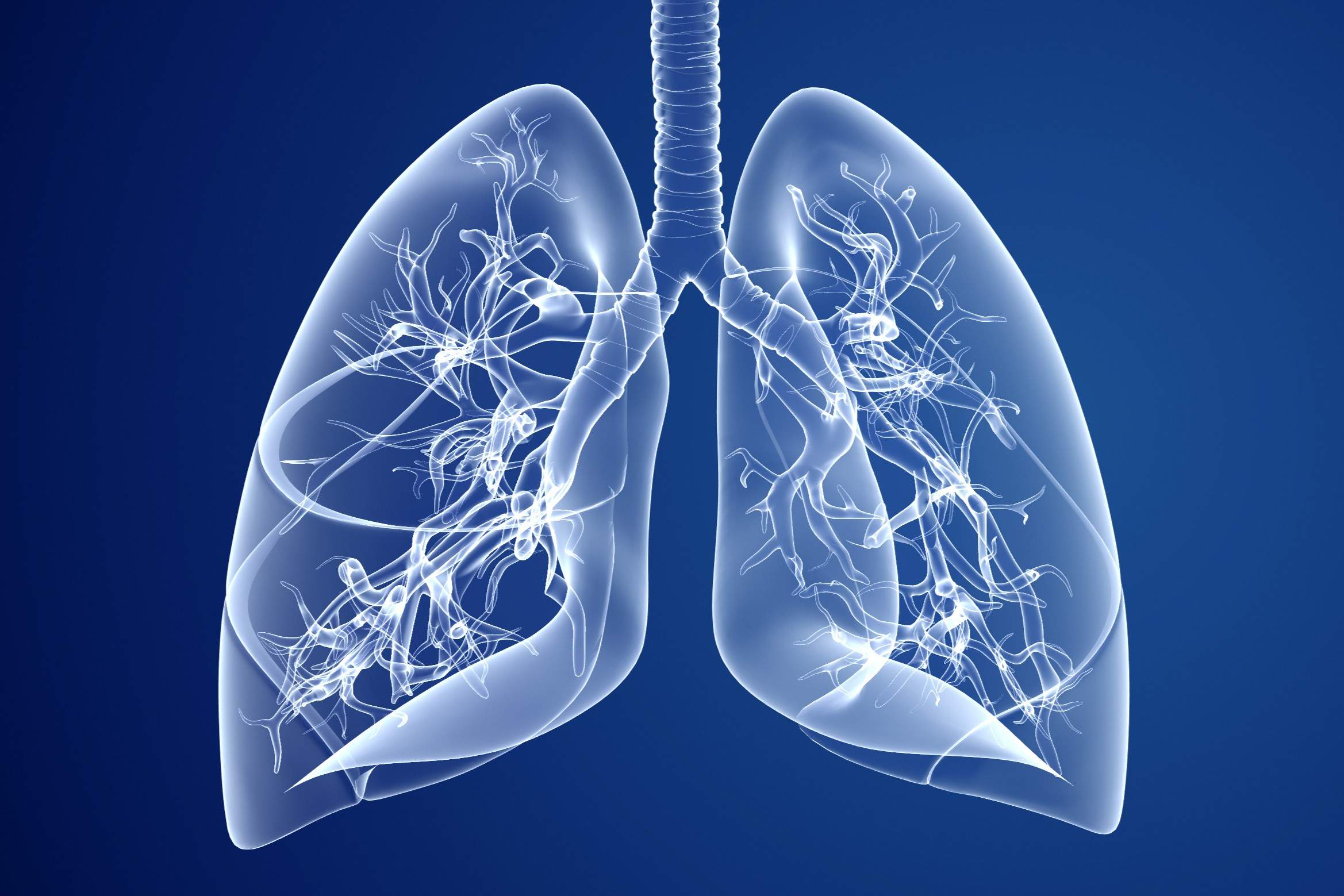 36 Fakta Tentang Fibrosis Kistik